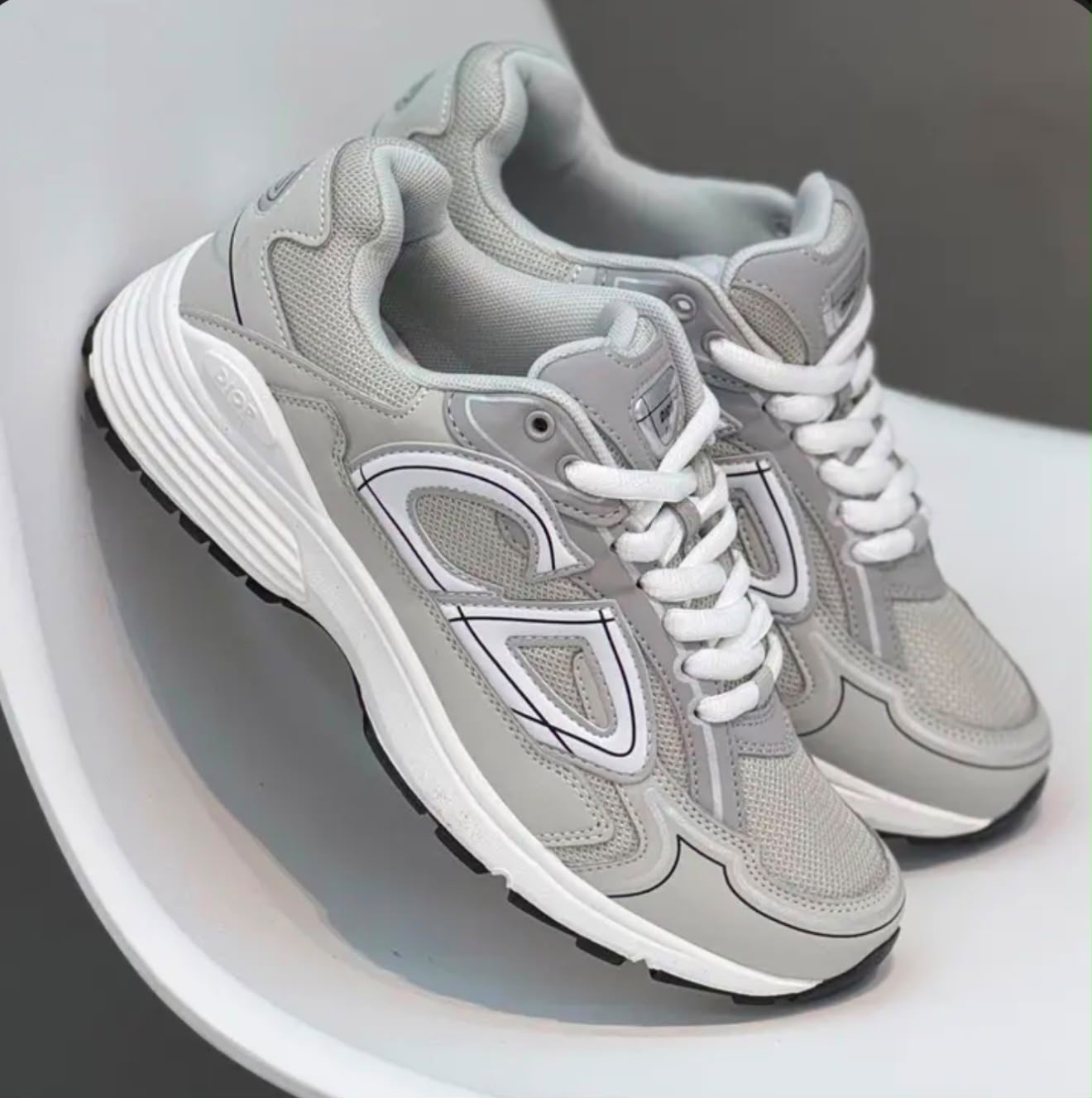 DIOR GRIS